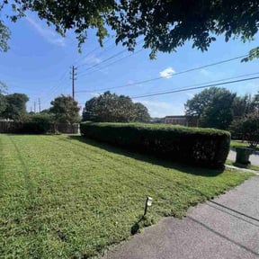 Bush Trimming by Keep It Cut Lawn Services reviewed on March 25, 2025