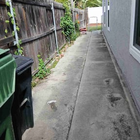 Cleanups by The Lawn Barber reviewed on June 21, 2025