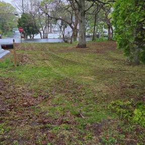 Leaf Removal by Pete’s Elite Lawn Care LLC reviewed on June 10, 2022