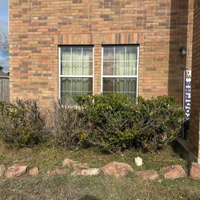 Bush Trimming by LSLTAustin/SanAntonioEmerald reviewed on February 27, 2025