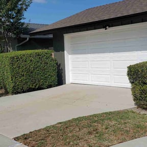 Bush Trimming by Randy's lawncare reviewed on July 8, 2022