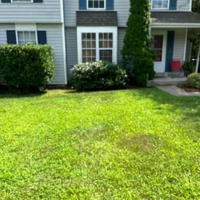 Bush Trimming by Rivera and Son's Services reviewed on June 19, 2022