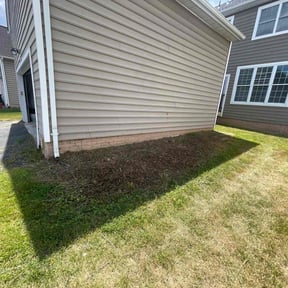 Cleanups by Chris's lawn services reviewed on June 11, 2022