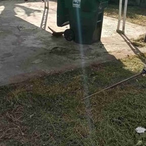 Landscaping by Maciel Landscaping reviewed on March 28, 2025