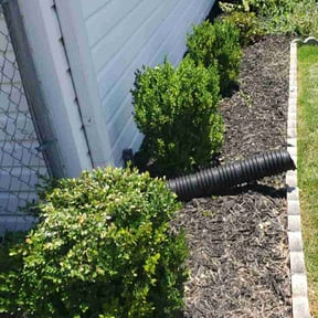 Bush Trimming by Westfield Lawn and Mulch reviewed on August 3, 2022