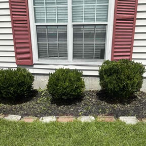 Bush Trimming by Brandonsanders reviewed on May 25, 2022