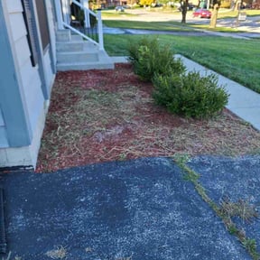 Flower Bed Weeding by Lawn service business reviewed on June 25, 2019