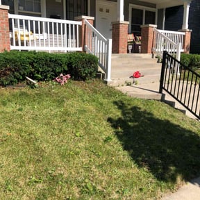 Bush Trimming by TruGreen LawnCare reviewed on August 15, 2025