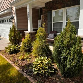 Bush Trimming by S&P Lawn maintenance LLC reviewed on May 14, 2022