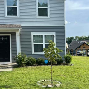 Flower Bed Weeding by Anton Lawn Care reviewed on May 22, 2025