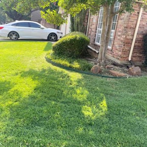 Bush Trimming by Steve’s mowing company reviewed on June 11, 2022
