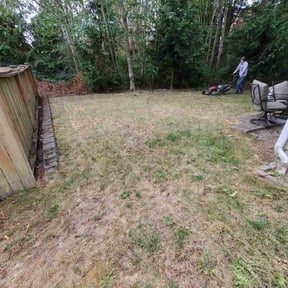 Leaf Removal by DeBerry Landscape LLC reviewed on May 28, 2022