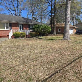 Leaf Removal by Type A Lawn Guy reviewed on July 8, 2025