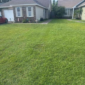 Bush Trimming by Bay Land &amp; Trees Llc. reviewed on April 21, 2025