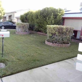 Bush Trimming by E&amp;E Landscape Services reviewed on November 15, 2024