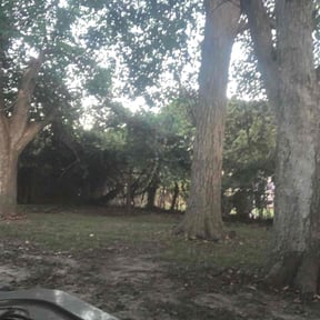 Leaf Removal by Jay-Lyns LLC reviewed on May 18, 2022