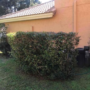 Bush Trimming by Green planet LRC reviewed on April 29, 2020