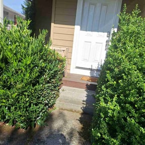 Bush Trimming by Mow the grow reviewed on August 11, 2024