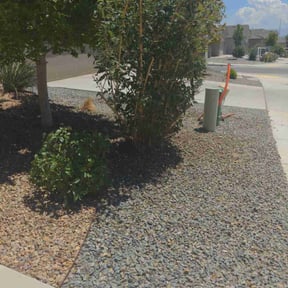 Leaf Removal by jd landscaping reviewed on September 1, 2023