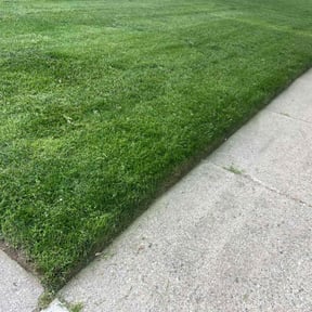 Cleanups by Legacy Lawn Services reviewed on May 18, 2022