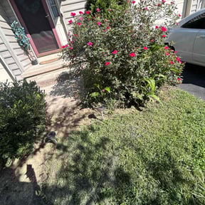 Flower Bed Weeding by Quick lawn service reviewed on October 8, 2024