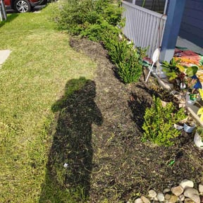 Flower Bed Weeding by Branch Divine Lawn Service reviewed on March 17, 2025