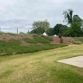 Bush Trimming by Norman Boys Lawn Care reviewed on May 24, 2022