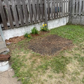 Mulching by Hermitage Lawn Care reviewed on March 25, 2022