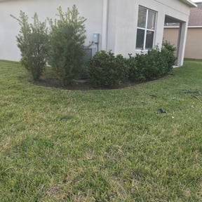 Flower Bed Weeding by Bowes Lawn Care LLC reviewed on November 1, 2024