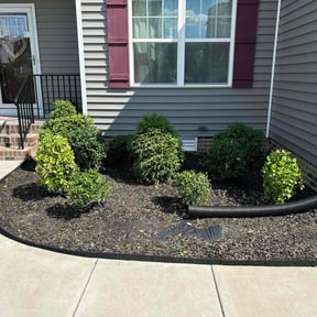 Bush Trimming by Clean green mowing and power washing reviewed on April 15, 2023