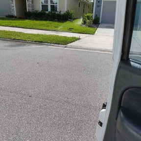 Bush Trimming by Chuyin's Lawn Care LLC reviewed on March 29, 2022