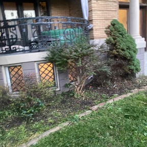 Flower Bed Weeding by ShiftChange LLC Lawn Service reviewed on November 26, 2021