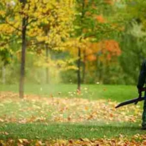 Cleanups by Proper Lawn Care Co reviewed on June 5, 2022