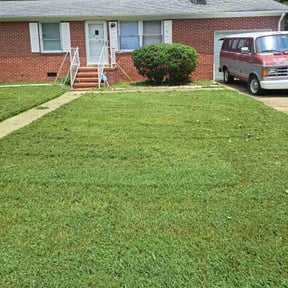 Bush Trimming by Fiers & Son’s Lawn Care and Pressure Washing reviewed on April 10, 2025