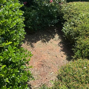 Flower Bed Weeding by On Hit Lawn Care reviewed on September 17, 2020