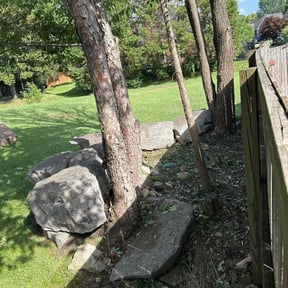 Cleanups by Kevreks Lawncare Service’s reviewed on July 11, 2022
