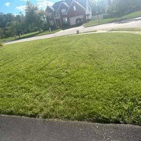 Flower Bed Weeding by mark's lawncare reviewed on July 25, 2022