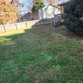 Leaf Removal by D-Line Lawns and More reviewed on September 18, 2021