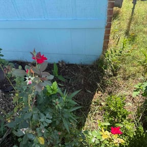 Flower Bed Weeding by C&K Precision Lawncare reviewed on July 19, 2022