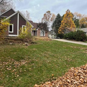 Leaf Removal by Westfield Lawn and Mulch reviewed on June 28, 2021