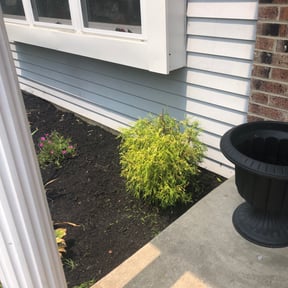 Bush Trimming by Greg's gardens reviewed on May 5, 2022