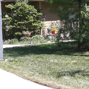 Landscaping by landscaping reviewed on July 27, 2022