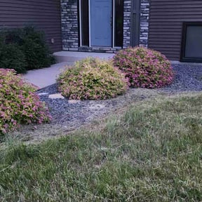 Bush Trimming by Escobar's Landscaping reviewed on May 26, 2021