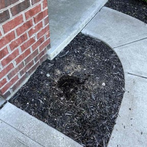 Flower Bed Weeding by Hoban’s Lawn Care Services, LLC reviewed on April 1, 2022