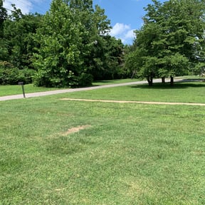 Leaf Removal by Sir James Services reviewed on August 12, 2025