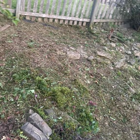 Flower Bed Weeding by Amby&#039;s Lawn Service reviewed on July 11, 2022