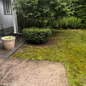 Bush Trimming by Mr. Mower reviewed on June 24, 2022
