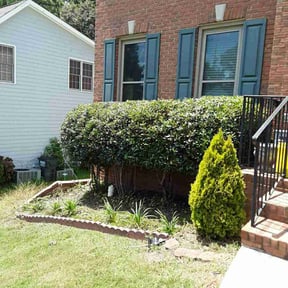 Weeding by Clyde's outdoor pros reviewed on June 28, 2025