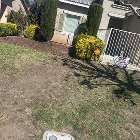 Weeding by Beckford's Yard & More LlC reviewed on June 30, 2020