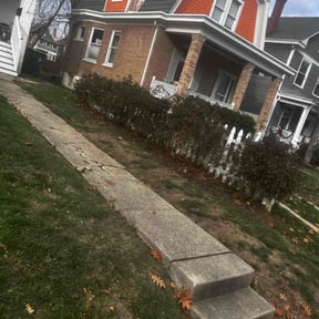 Bush Trimming by Thayer's Property Maintenance reviewed on July 19, 2021